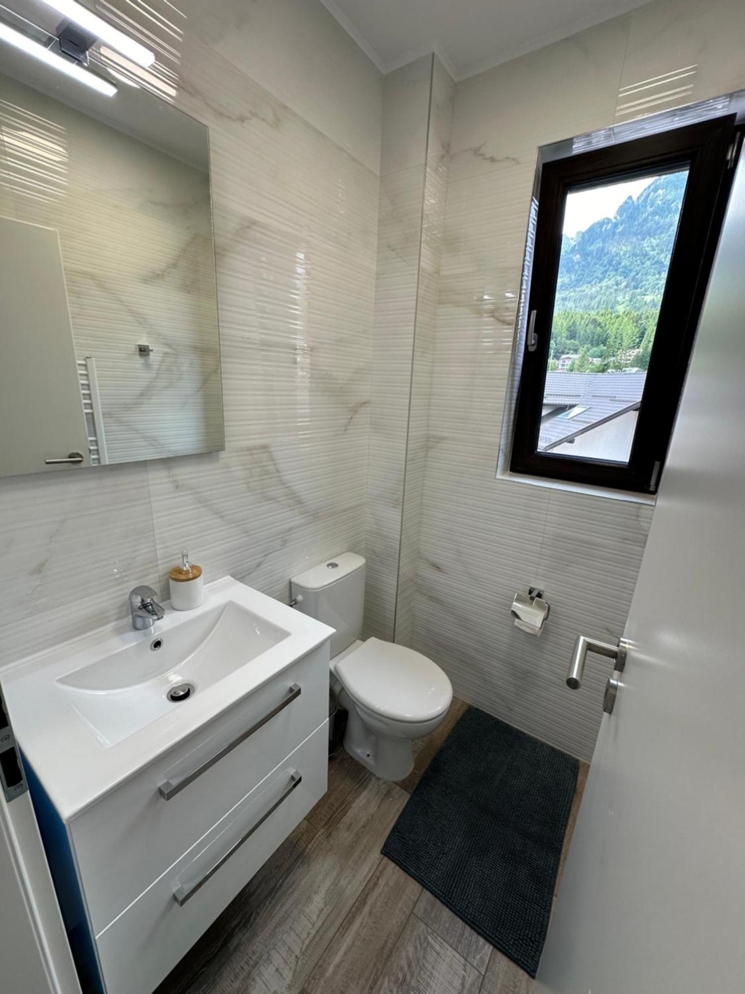 The View Apartment Buşteni Екстериор снимка